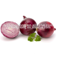 2014 chinese fresh red onion for sale5-7cm, 6-8cm, 8cm up